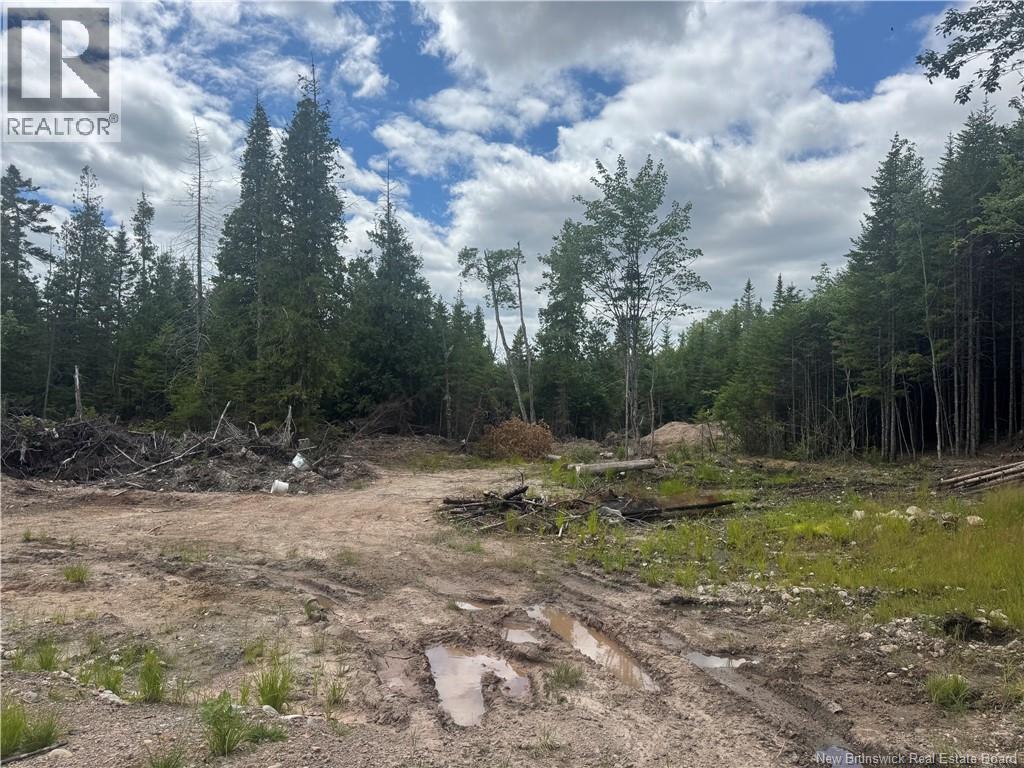 2768 Route 790, Musquash, New Brunswick  E5J 3C9 - Photo 3 - NB143752
