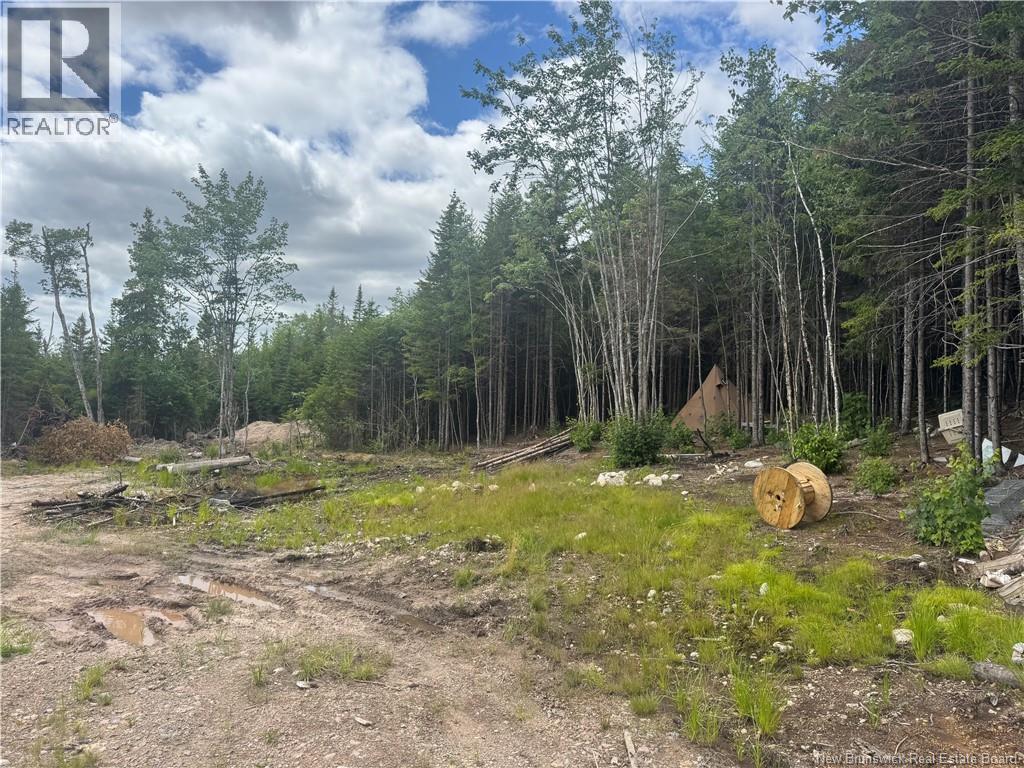 2768 Route 790, Musquash, New Brunswick  E5J 3C9 - Photo 4 - NB143752