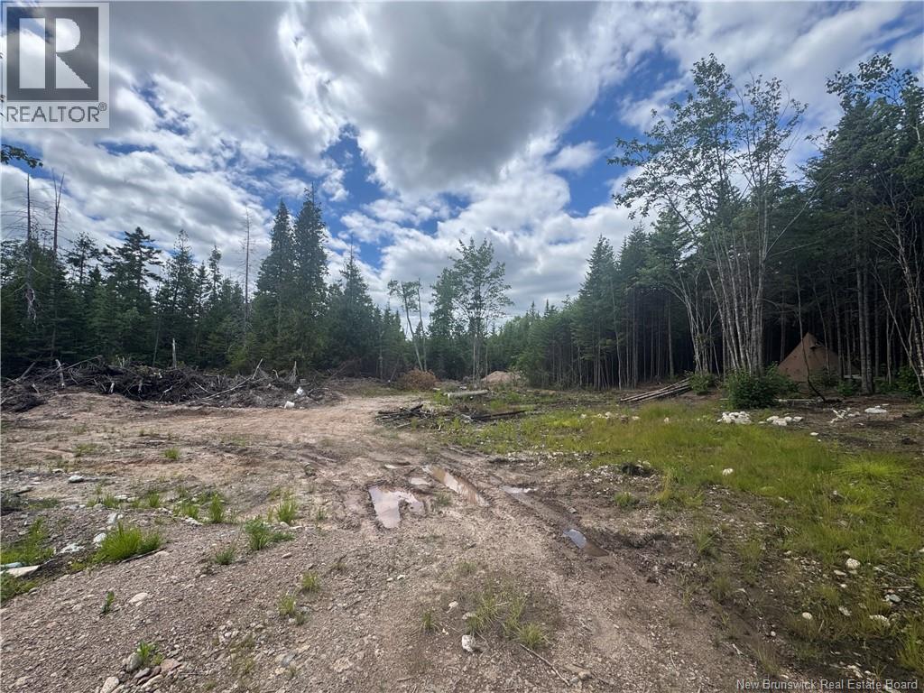 2768 Route 790, Musquash, New Brunswick  E5J 3C9 - Photo 5 - NB143752