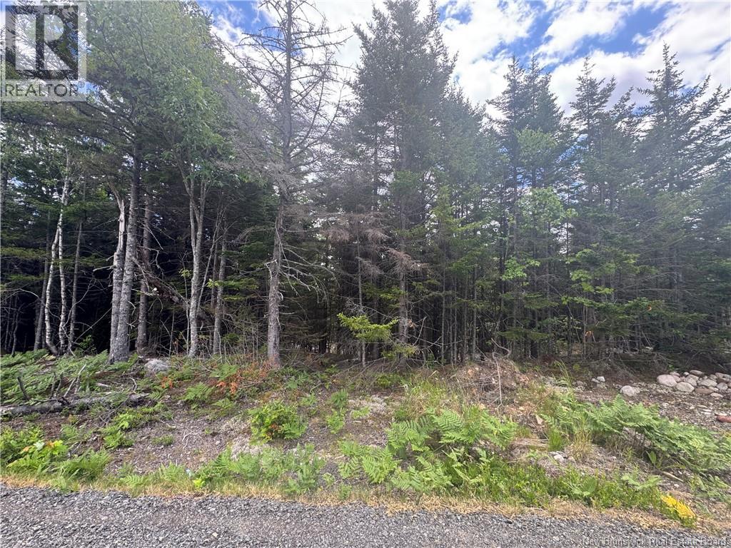 2768 Route 790, Musquash, New Brunswick  E5J 3C9 - Photo 6 - NB143752