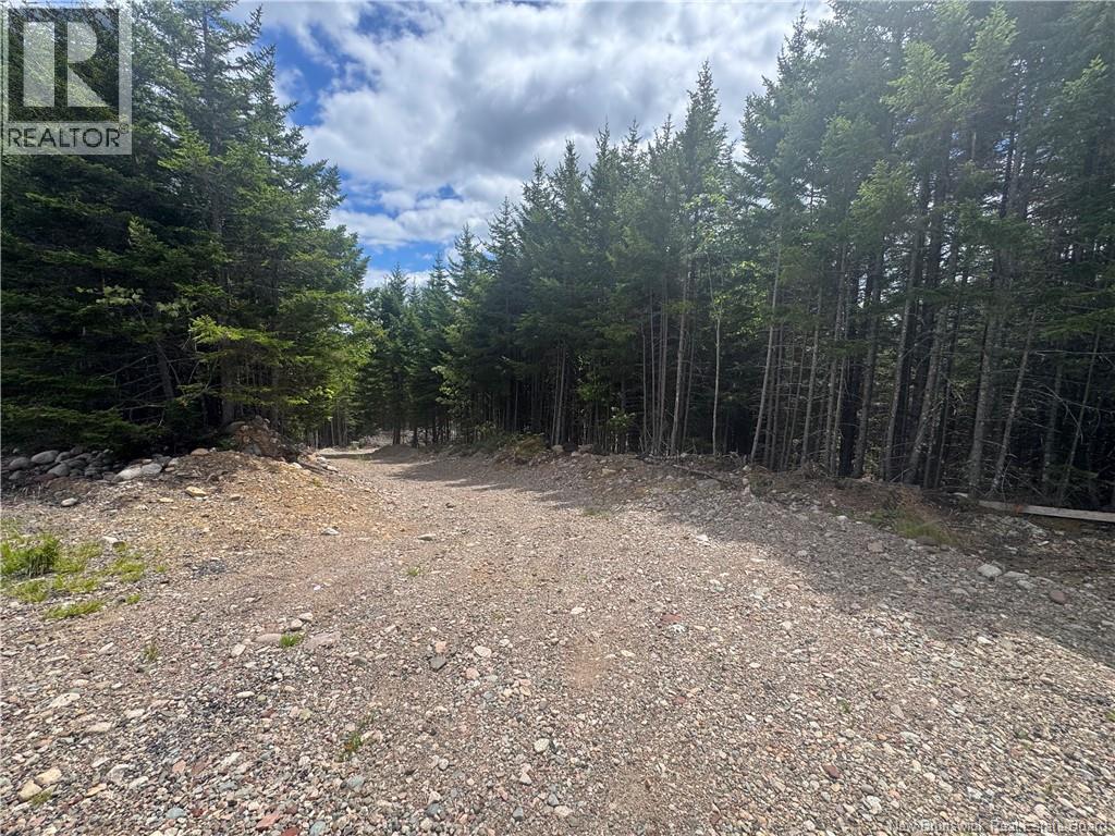 2768 Route 790, Musquash, New Brunswick  E5J 3C9 - Photo 9 - NB143752