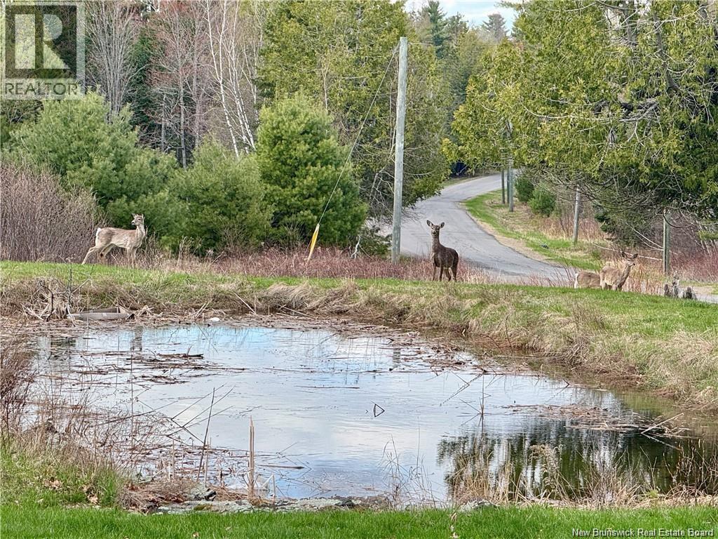 164 Gore Road, Fredericton Junction, New Brunswick  E5L 1T9 - Photo 37 - NB143654