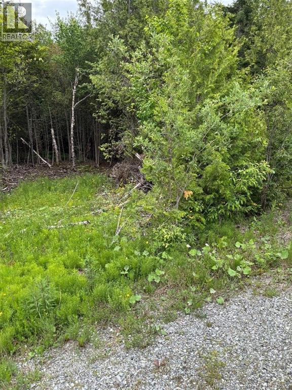 A-32 Deer Glen Drive, Saint John, New Brunswick