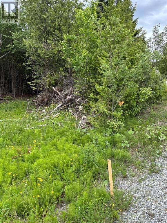 A-32 Deer Glen Drive, Saint John, New Brunswick  E2H 2Z6 - Photo 2 - NB143822