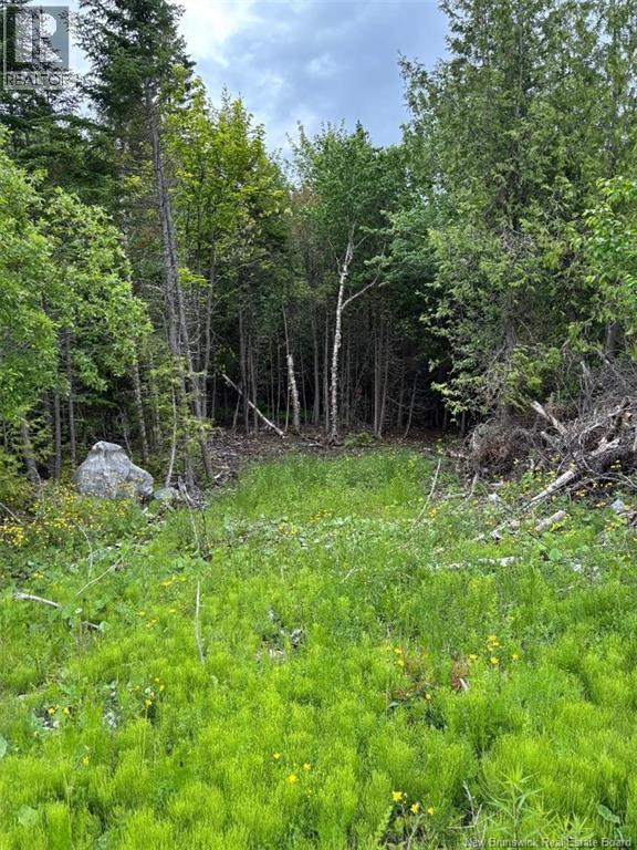 A-32 Deer Glen Drive, Saint John, New Brunswick  E2H 2Z6 - Photo 3 - NB143822