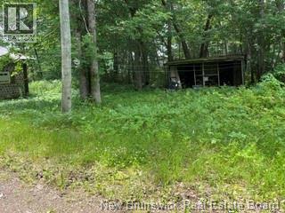 11 Dale Aubin Lane, Tracy, New Brunswick  E5L 1L1 - Photo 4 - NB143894