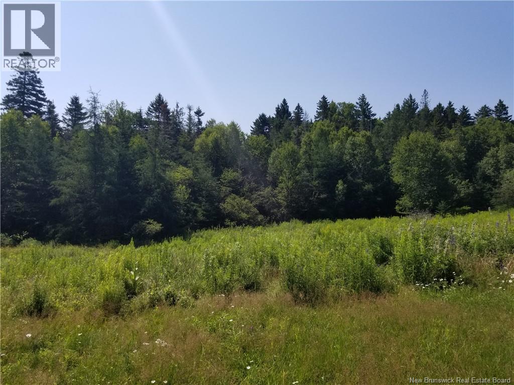624 Mascarene Road, Mascarene, New Brunswick E5C 2S4 - Photo 21 - NB143764