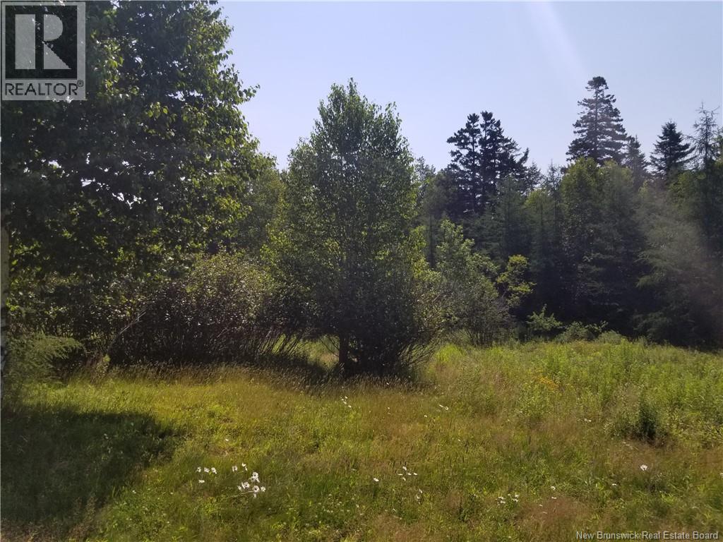624 Mascarene Road, Mascarene, New Brunswick E5C 2S4 - Photo 22 - NB143764