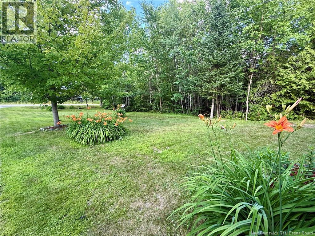 333 Mcminn Road, Rollingdam, New Brunswick  E5A 1B2 - Photo 3 - NB144378