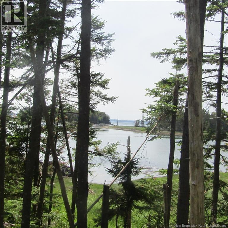 39 Meadowbrook Lane, L'etete, New Brunswick  E5C 2P2 - Photo 12 - NB144639