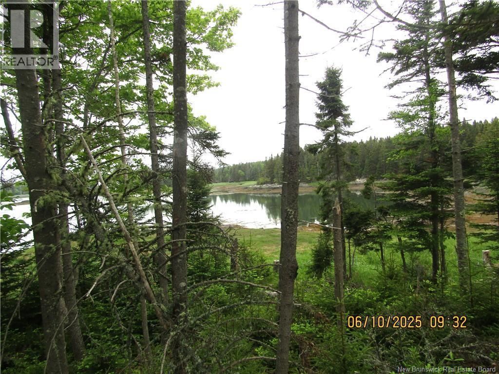 39 Meadowbrook Lane, L'etete, New Brunswick  E5C 2P2 - Photo 14 - NB144639