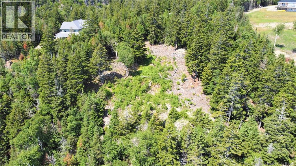 Lot 7 Kilmarnock Head, Chamcook, New Brunswick  E5B 0A9 - Photo 13 - NB144606