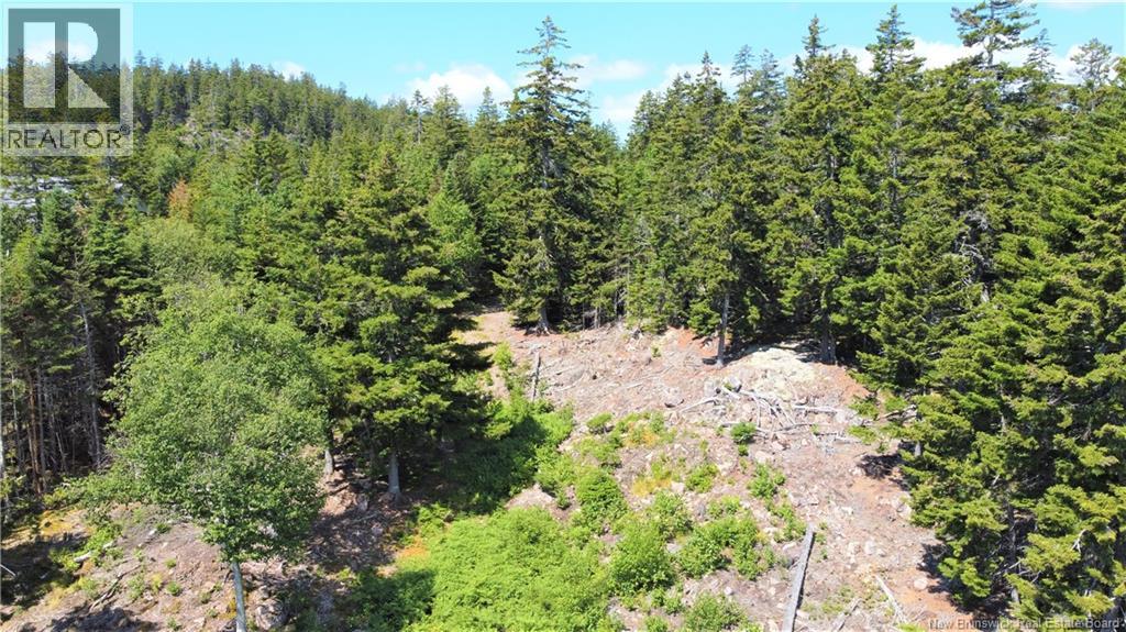 Lot 7 Kilmarnock Head, Chamcook, New Brunswick  E5B 0A9 - Photo 14 - NB144606