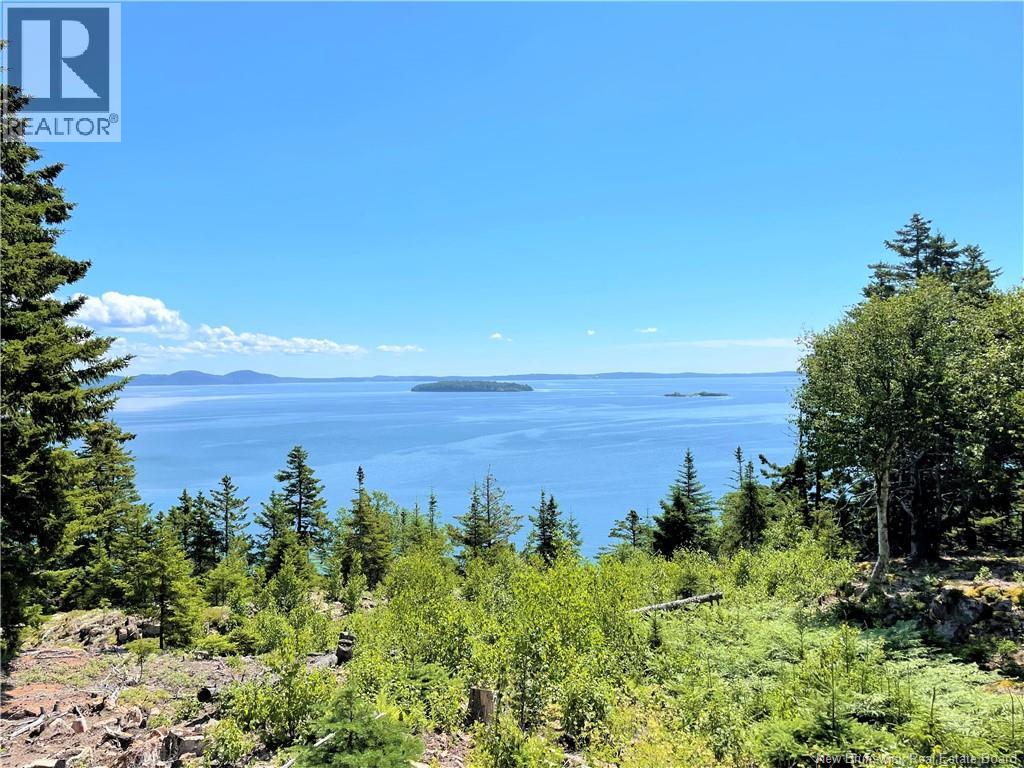 Lot 7 Kilmarnock Head, Chamcook, New Brunswick  E5B 0A9 - Photo 17 - NB144606