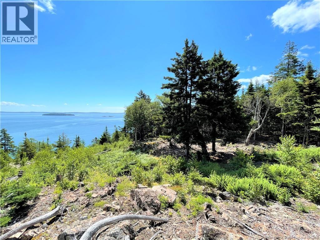 Lot 7 Kilmarnock Head, Chamcook, New Brunswick  E5B 0A9 - Photo 18 - NB144606