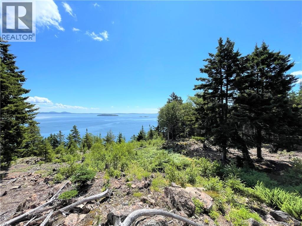 Lot 7 Kilmarnock Head, Chamcook, New Brunswick  E5B 0A9 - Photo 19 - NB144606