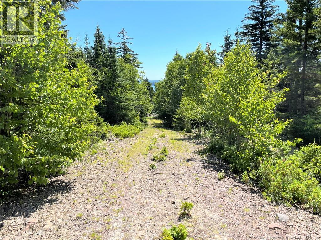 Lot 7 Kilmarnock Head, Chamcook, New Brunswick  E5B 0A9 - Photo 22 - NB144606