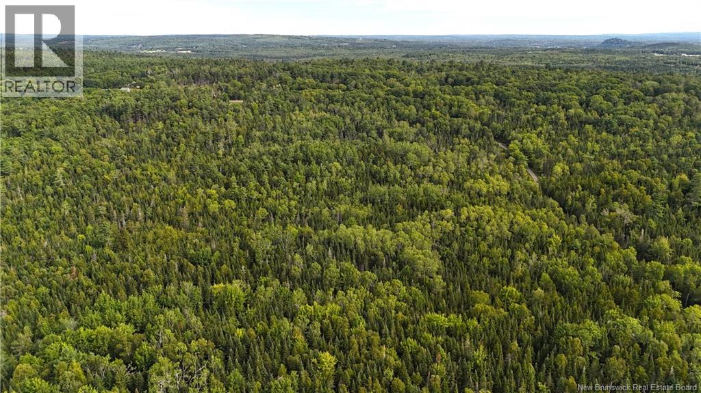 135 Pine Point Road, Dufferin, New Brunswick E3L 0G7 - Photo 48 - NB144398