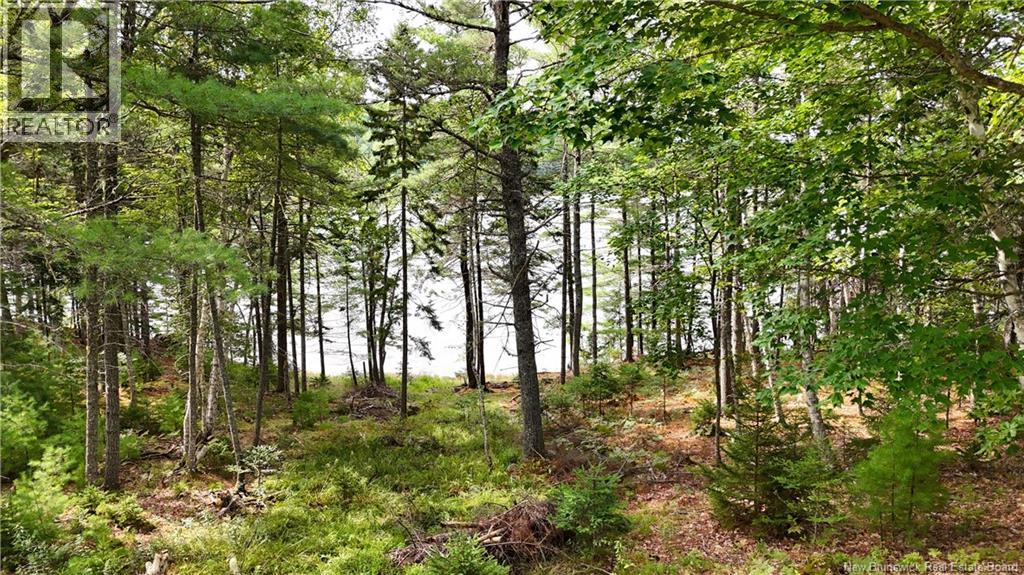 135 Pine Point Road, Dufferin, New Brunswick E3L 0G7 - Photo 5 - NB144398
