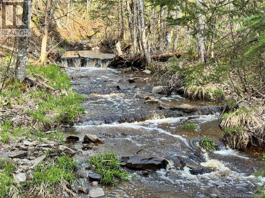 Lot Sand Brook Road, Blissville, New Brunswick  E5L 2L5 - Photo 10 - NB144599