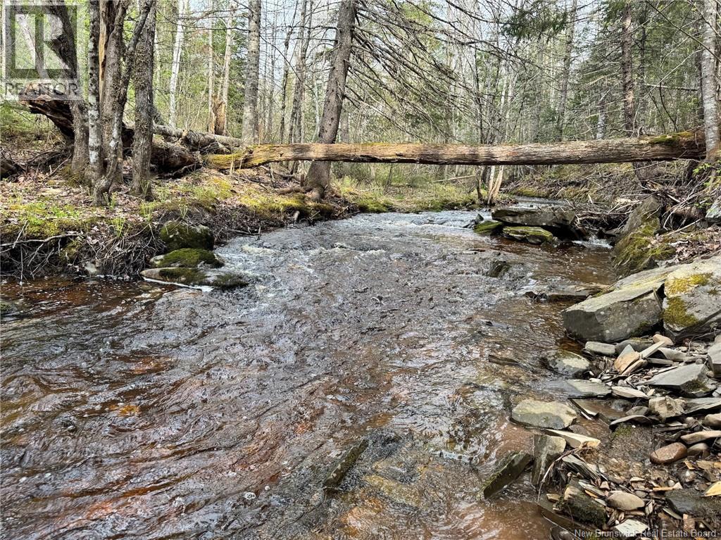 Lot Sand Brook Road, Blissville, New Brunswick  E5L 2L5 - Photo 11 - NB144599