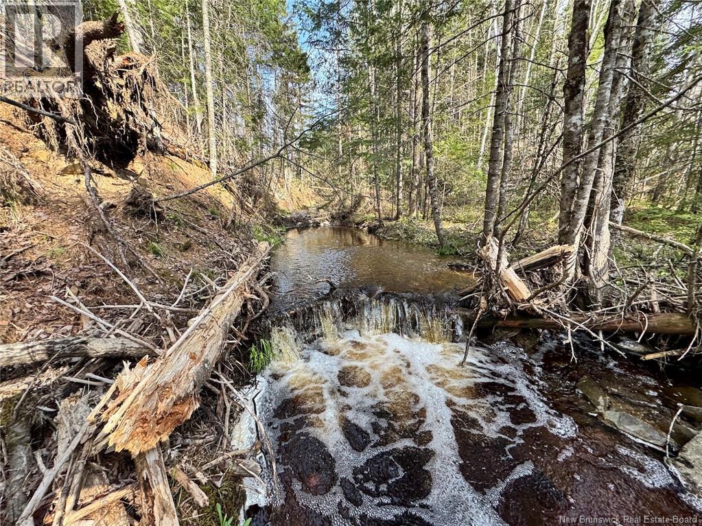 Lot Sand Brook Road, Blissville, New Brunswick  E5L 2L5 - Photo 12 - NB144599