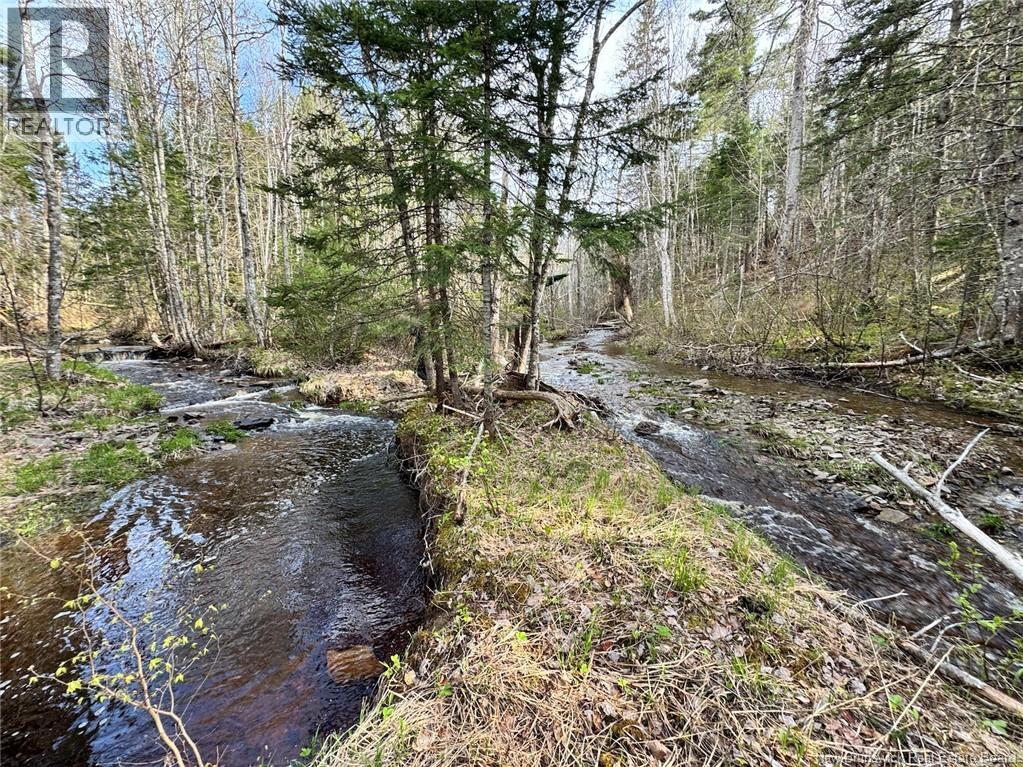 Lot Sand Brook Road, Blissville, New Brunswick  E5L 2L5 - Photo 13 - NB144599