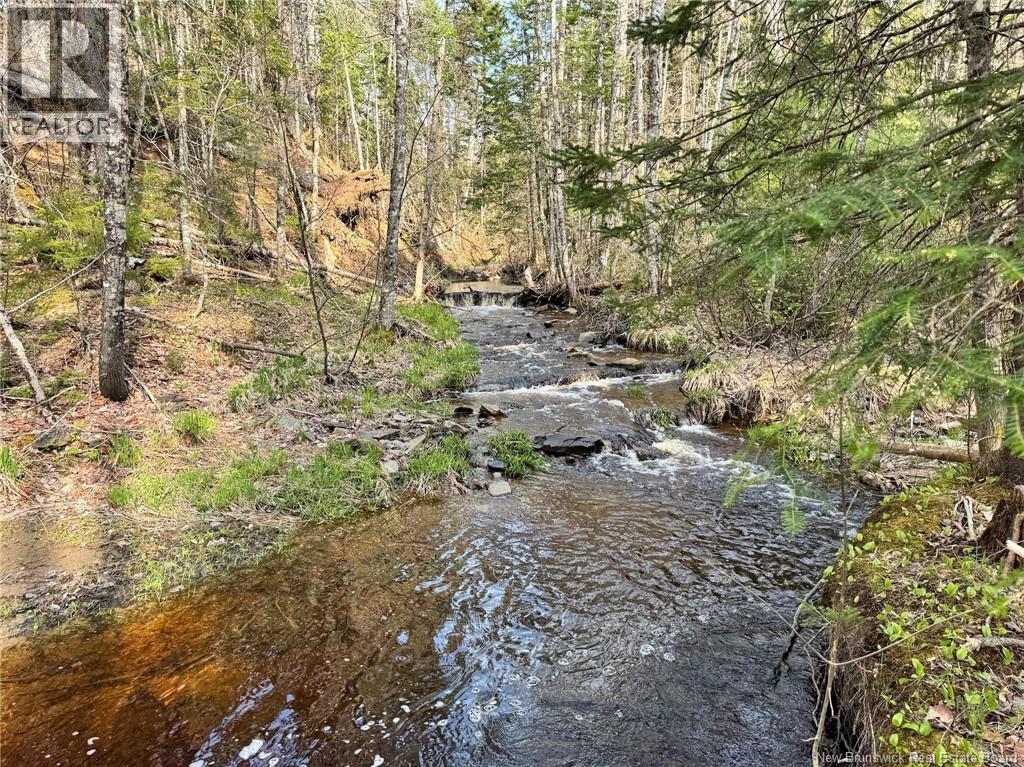 Lot Sand Brook Road, Blissville, New Brunswick  E5L 2L5 - Photo 14 - NB144599