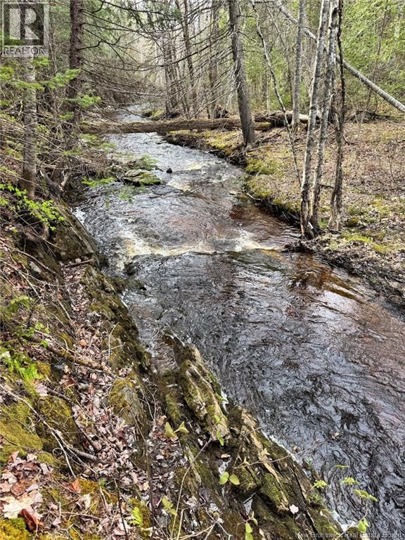 Lot Sand Brook Road, Blissville, New Brunswick  E5L 2L5 - Photo 15 - NB144599
