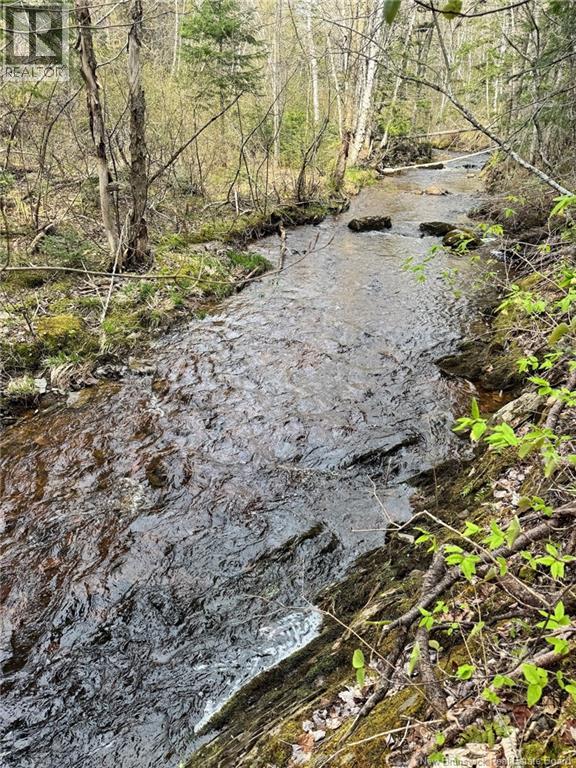 Lot Sand Brook Road, Blissville, New Brunswick  E5L 2L5 - Photo 16 - NB144599