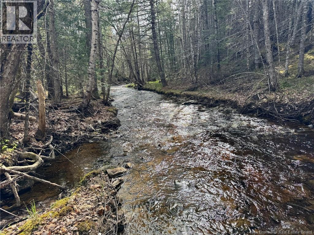 Lot Sand Brook Road, Blissville, New Brunswick  E5L 2L5 - Photo 17 - NB144599