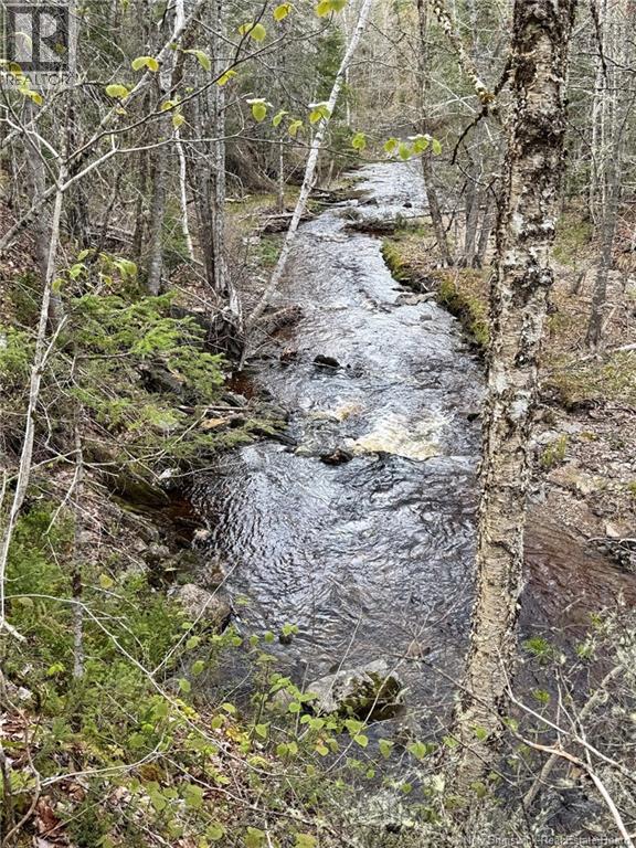 Lot Sand Brook Road, Blissville, New Brunswick  E5L 2L5 - Photo 18 - NB144599