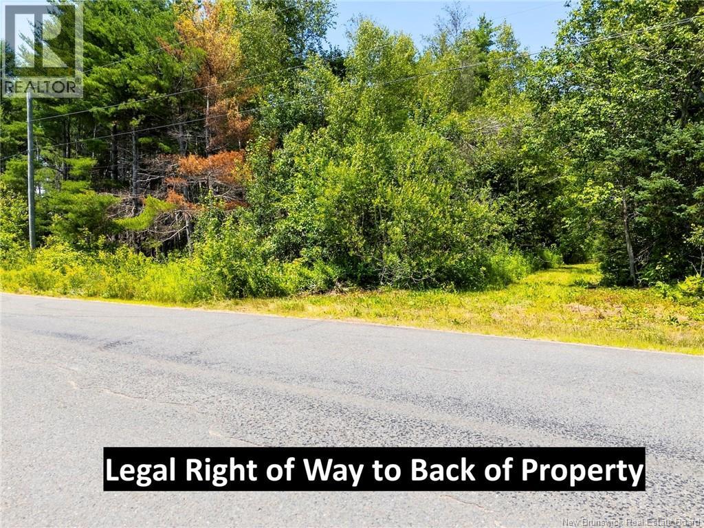 Lot Sand Brook Road, Blissville, New Brunswick  E5L 2L5 - Photo 7 - NB144599