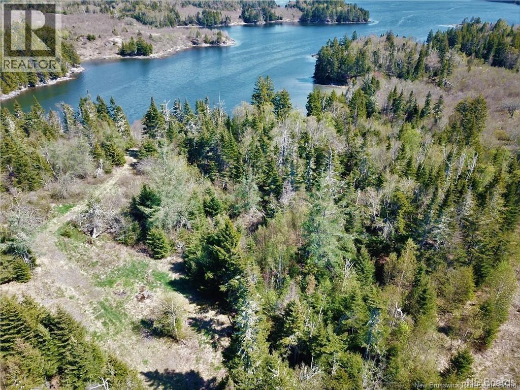 294 Route 172, Letang, New Brunswick  E5C 1W3 - Photo 3 - NB144766