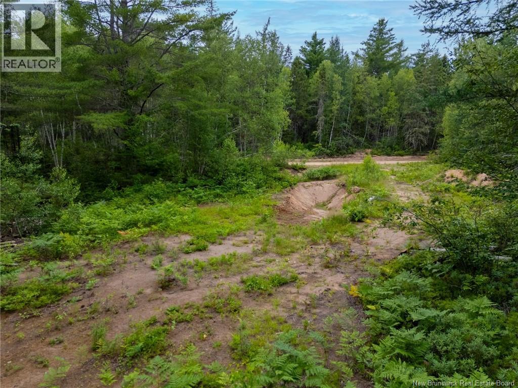 Lot Graham Road, South Oromocto Lake, New Brunswick  E5L 0O0 - Photo 10 - NB144598