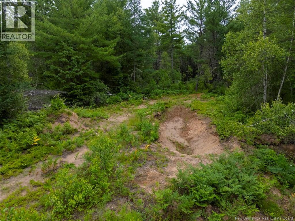 Lot Graham Road, South Oromocto Lake, New Brunswick  E5L 0O0 - Photo 11 - NB144598