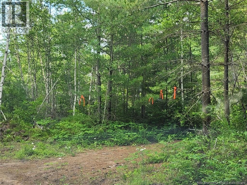 Lot Graham Road, South Oromocto Lake, New Brunswick  E5L 0O0 - Photo 12 - NB144598