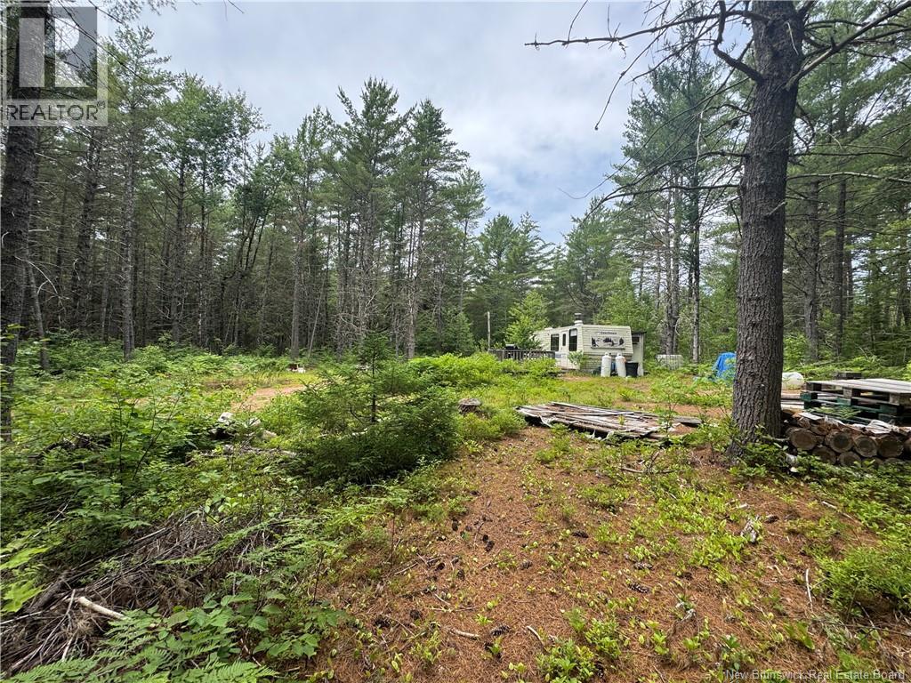 Lot Graham Road, South Oromocto Lake, New Brunswick  E5L 0O0 - Photo 5 - NB144598