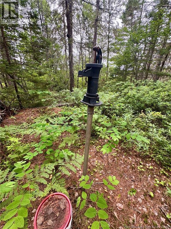 Lot Graham Road, South Oromocto Lake, New Brunswick  E5L 0O0 - Photo 6 - NB144598