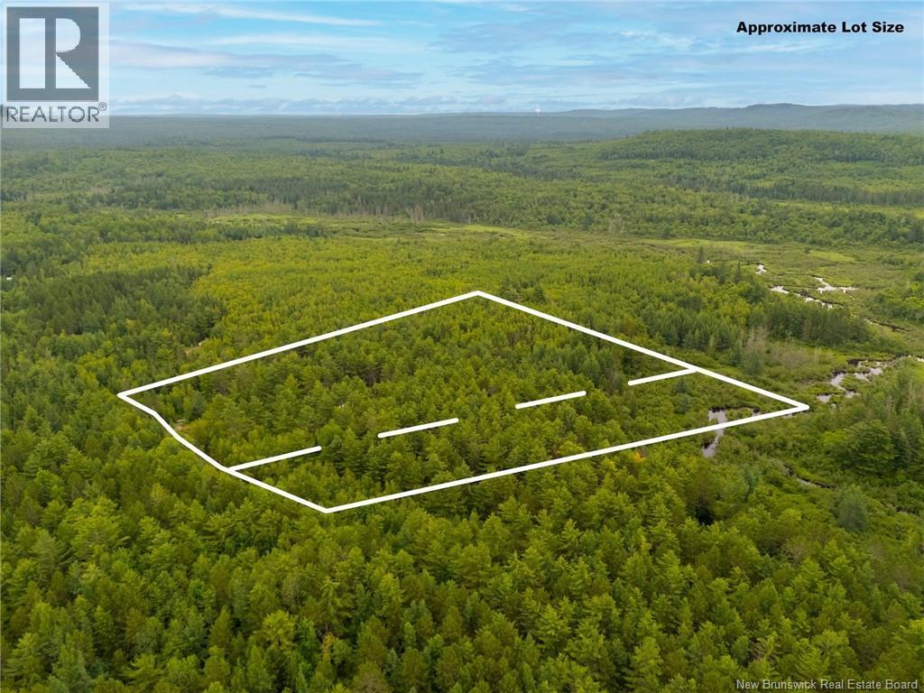 Lot Graham Road, South Oromocto Lake, New Brunswick  E5L 0O0 - Photo 7 - NB144598