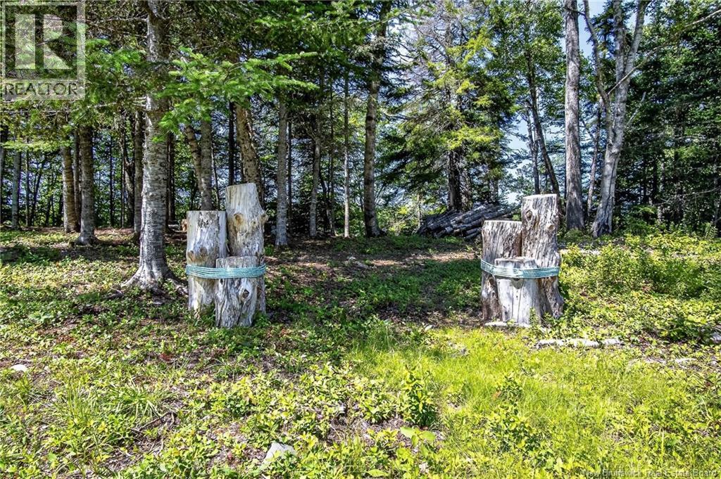 230 Mealey Road, Pennfield, New Brunswick  E5H 0B1 - Photo 42 - NB144691