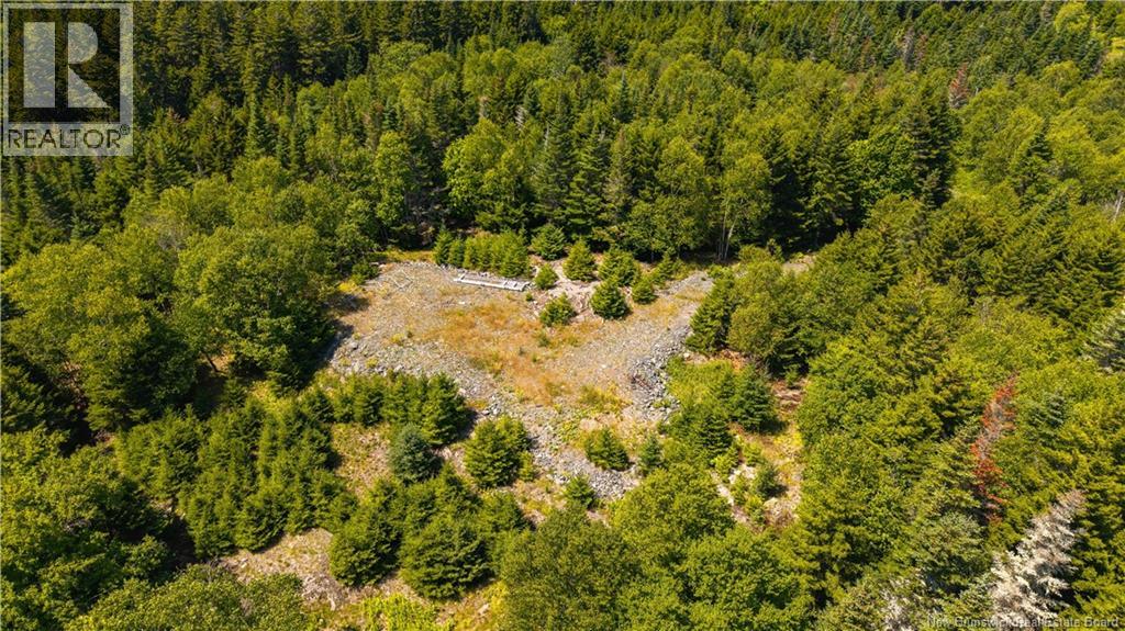 1589 Route 772, Hibernia Cove, New Brunswick  E5V 1L3 - Photo 43 - NB144909