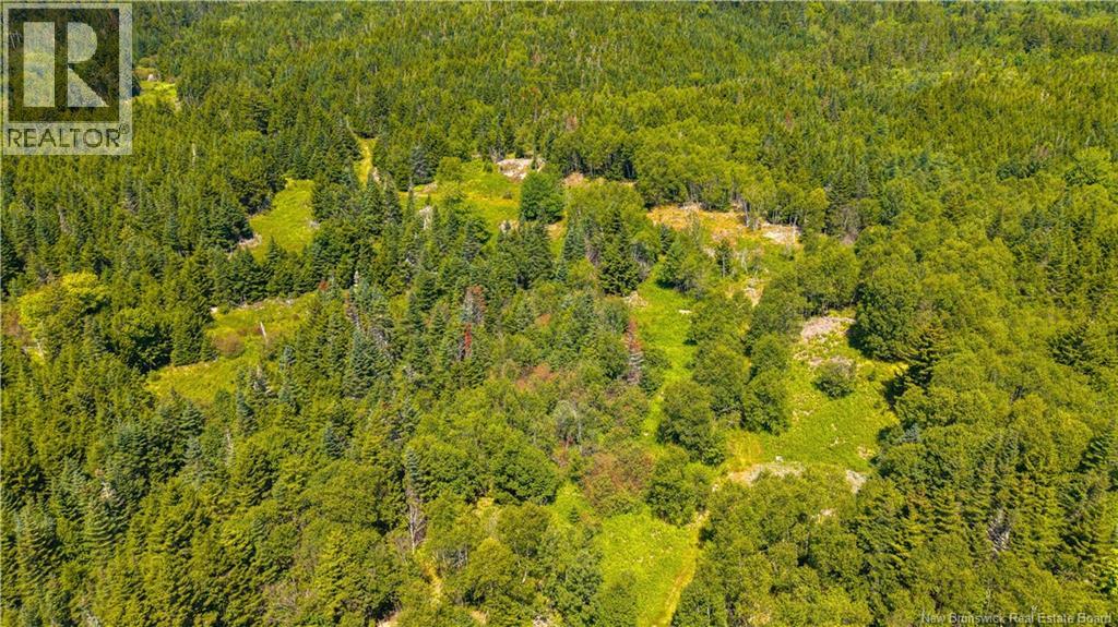 1589 Route 772, Hibernia Cove, New Brunswick  E5V 1L3 - Photo 45 - NB144909