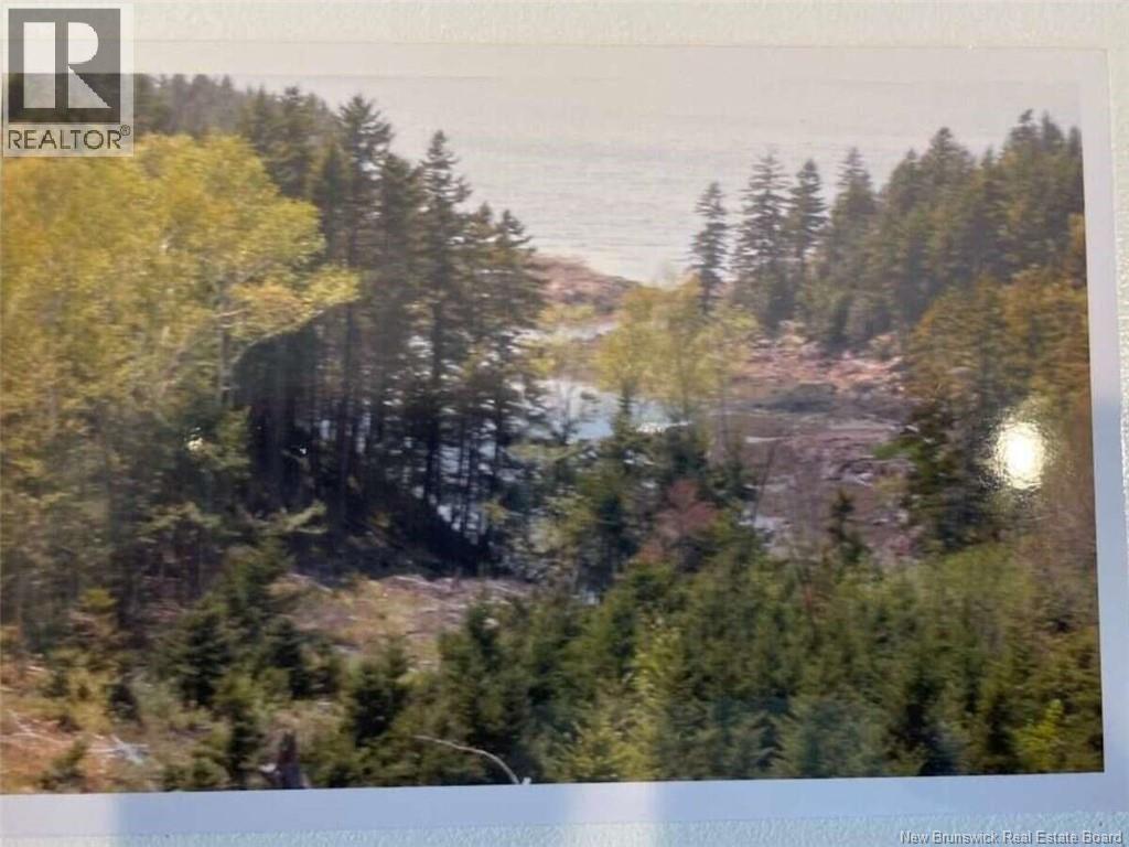 6 Roys Lane, Pennfield, New Brunswick E5H 1R6 - Photo 5 - NB145107