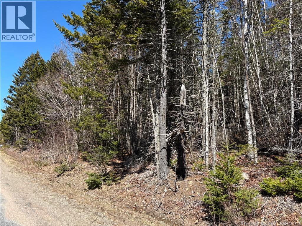 Shore Road, Breadalbane, New Brunswick  E5C 1P2 - Photo 3 - NB145432