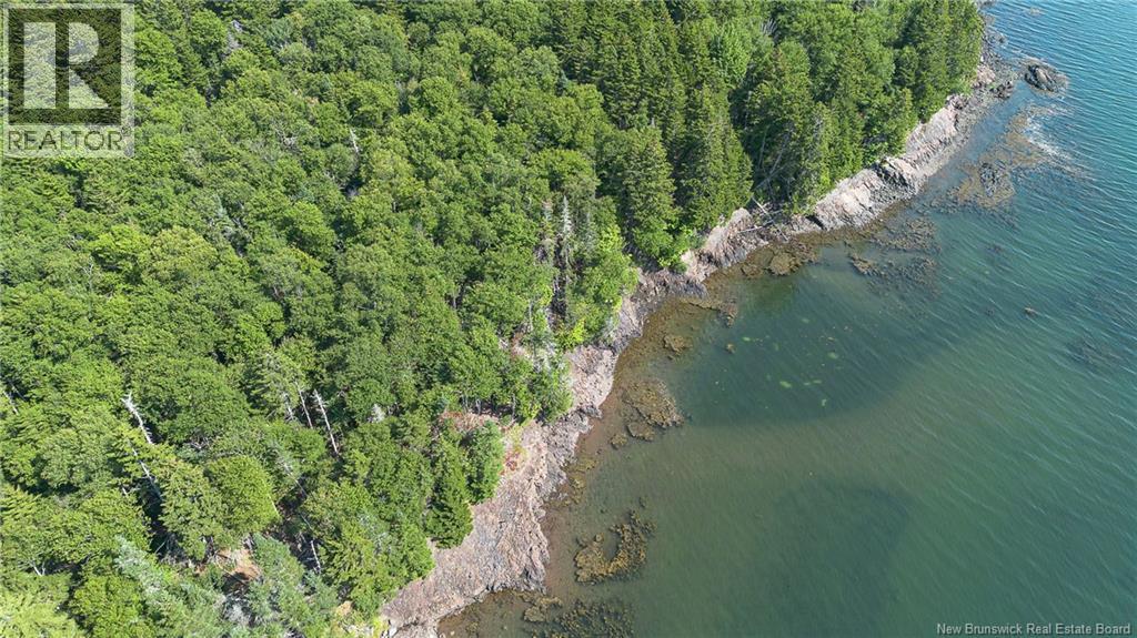 Fiander Road, Bocabec, New Brunswick E5B 3M3 - Photo 10 - NB145368