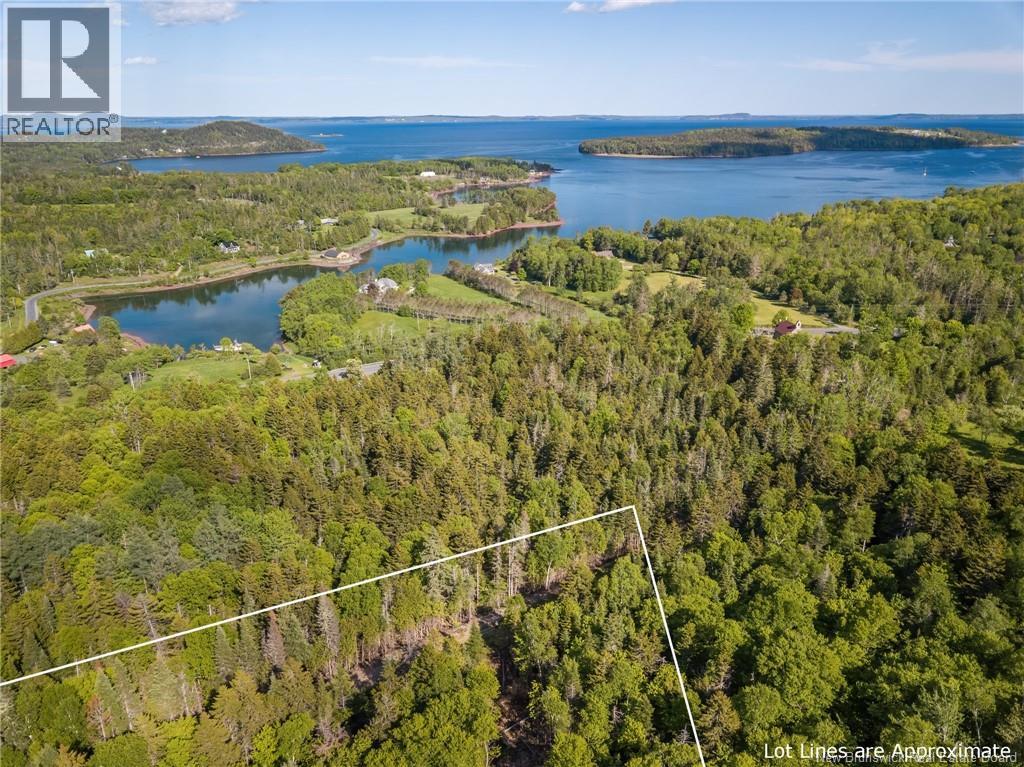 Land Chamcook Lake No 1, Chamcook, New Brunswick  E5B 2Z4 - Photo 3 - NB145811