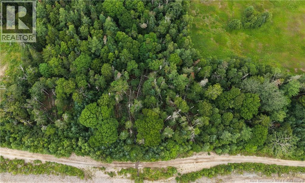 Vacant Lot 16-2 175 Route, Pennfield, New Brunswick E5H 0B5 - Photo 2 - NB145727