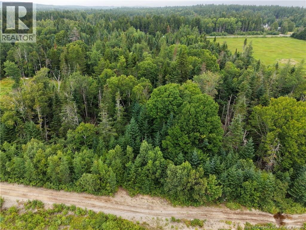 Vacant Lot 16-2 175 Route, Pennfield, New Brunswick E5H 0B5 - Photo 3 - NB145727