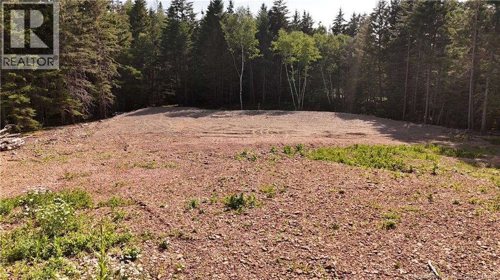Lot 0 Shore Road, Breadalbane, New Brunswick E5C 1P2 - Photo 8 - NB145833